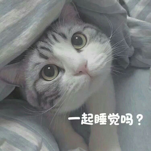 自慰片

